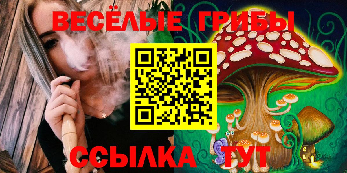 Псилоцибиновые грибы Psilocybe  Вход с VPN  Качканар  Псилоцибиновые грибы Psilocybine cubensis 